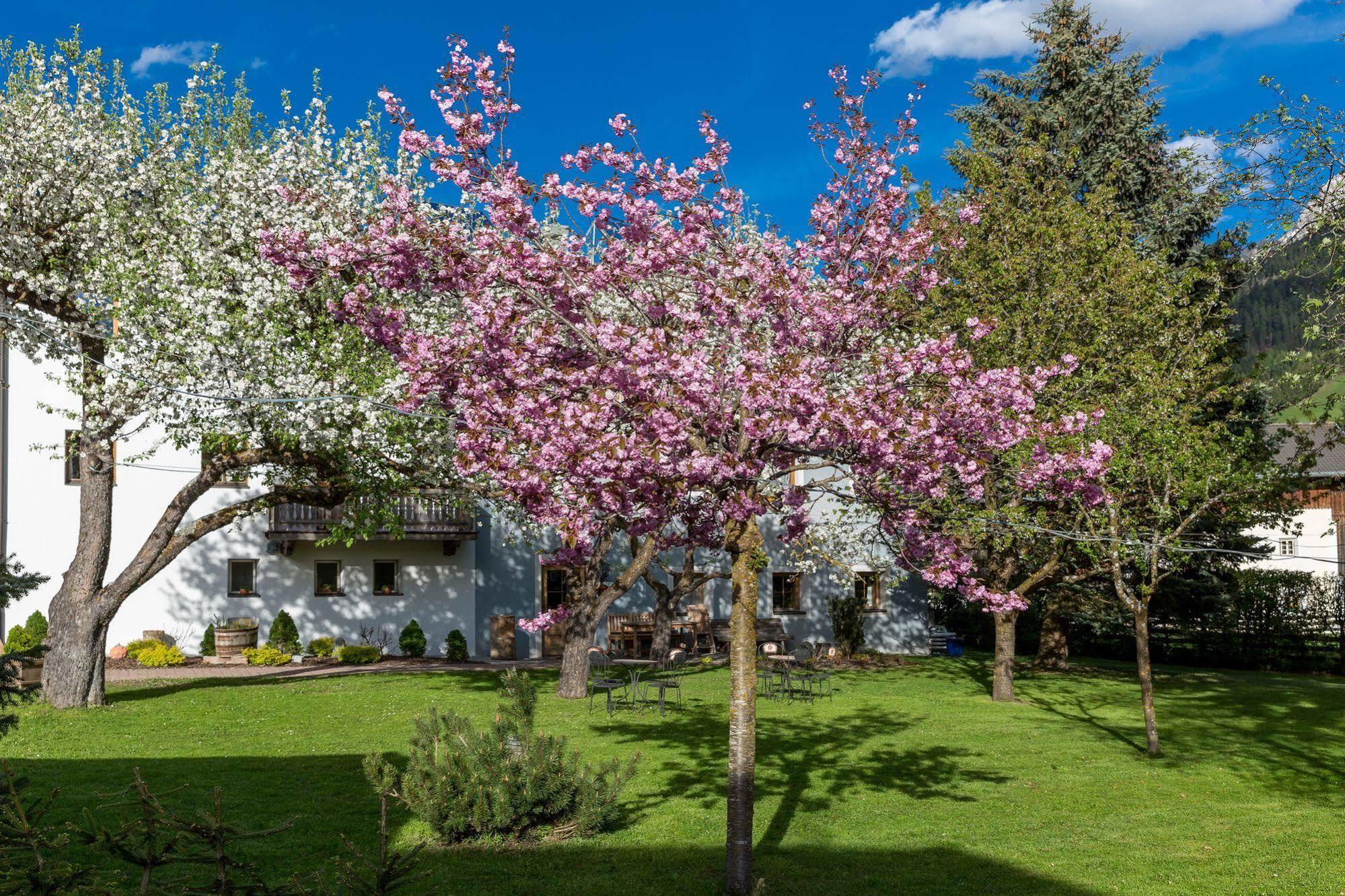Residence Mitterdorfer Abfaltersbach Exteriér fotografie